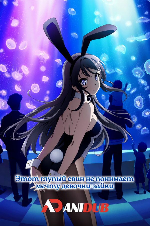 Этот глупый свин не понимает мечту девочки-зайки / Seishun Buta Yarou wa Bunny Girl Senpai no Yume o Minai [13 из 13]