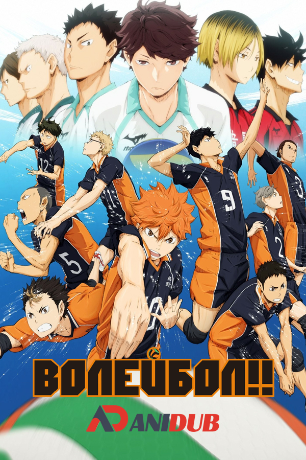 Волейбол!! / Haikyuu!! [25 из 25]