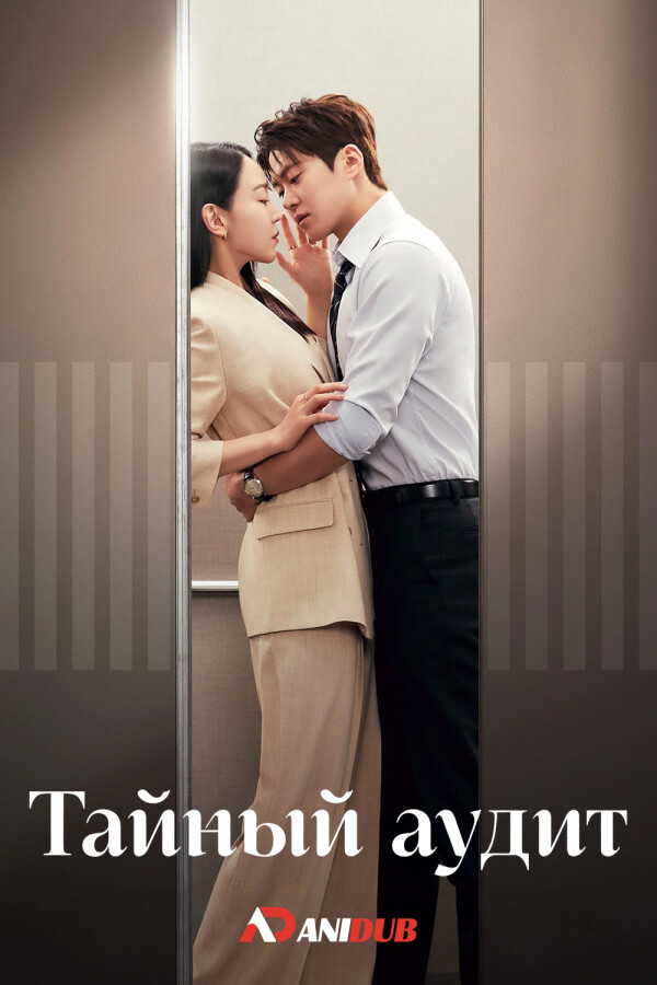 Тайный аудит